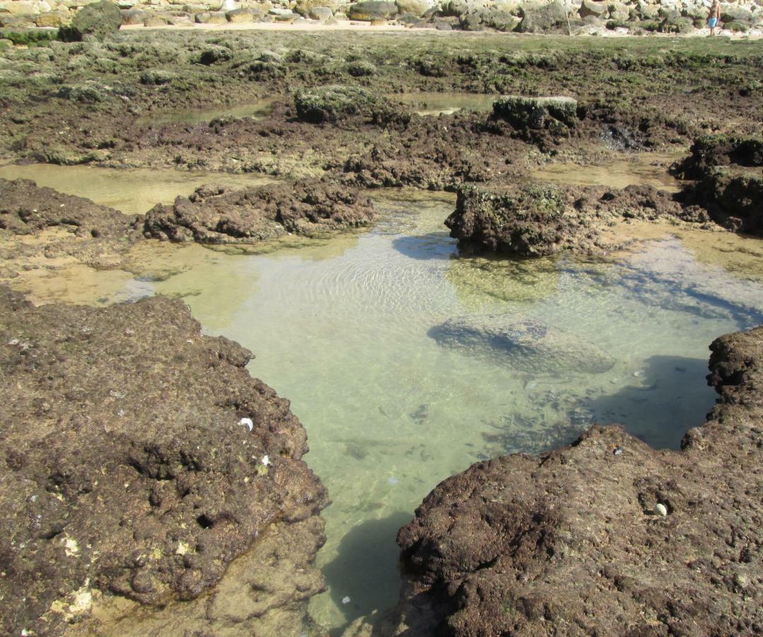 Apartamento Mica อัลบูเฟรา ภายนอก รูปภาพ